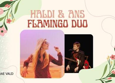 Haldi & ansambel Flamingo Duo kontsert - Jüri Kirik