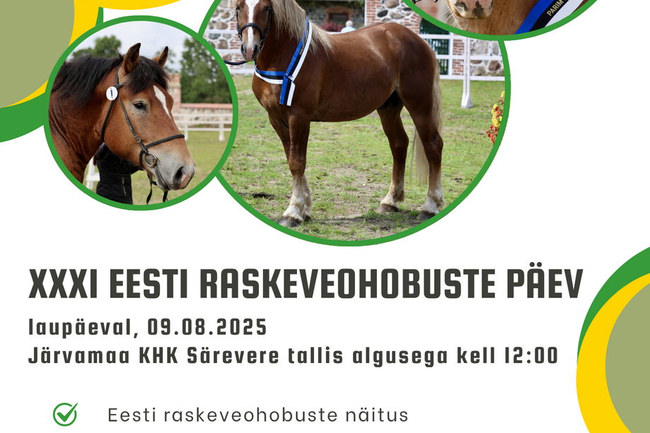 XXXI EESTI RASKEVEOHOBUSTE PÄEV - Türi vald
