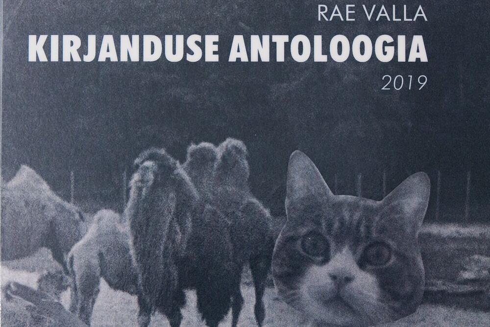 NÄITUS “Meie autorite kaaned” - Rae Kultuurikeskus