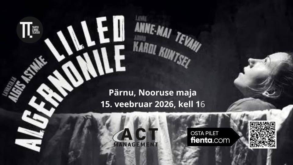 Lilled Algernonile - Nooruse Maja Lilled Algernonile - Nooruse Maja