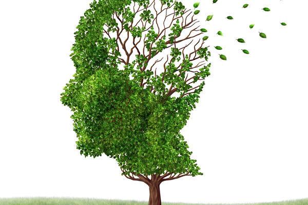 Kabala piirkonna mälumäng - Kabala Rahvamaja