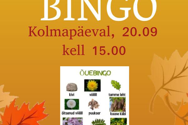 Sügisene bingo - Kiili Noortekeskus