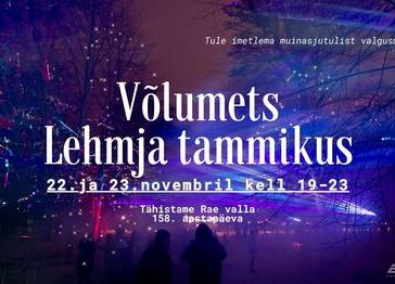 Võlumets Lehmja tammikus - Lehmja Tammik