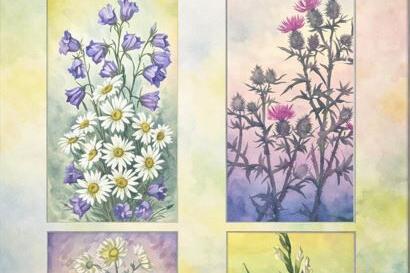 Lilled Valguses - Nooruse Maja